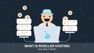 What Is Reseller Hosting