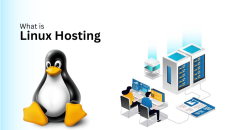 Linux Hosting