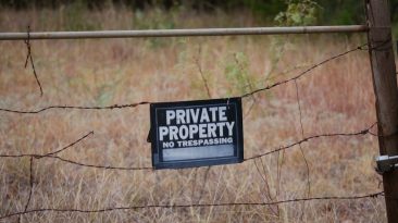 Photo Domain Privacy