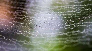 Photo Core Web Vitals