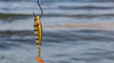 Photo Data Sovereignty Laws 2026