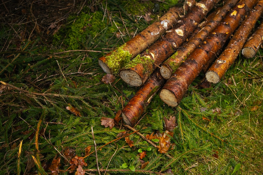 Photo Litespeed Web Server