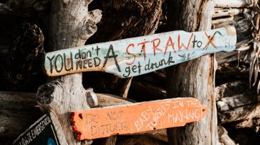 Photo Digital Transformation