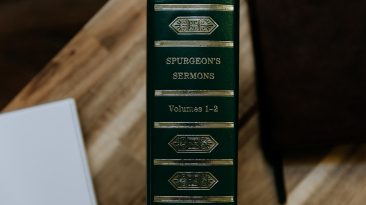 Photo WordPress User Roles And Permissions