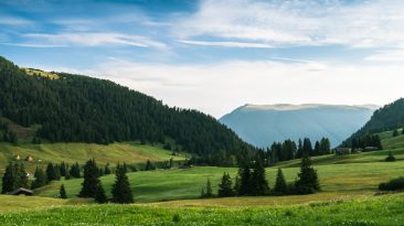 Photo Domain Availability