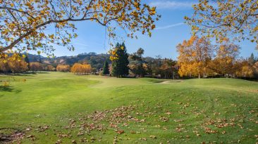 Photo White Screen of Death