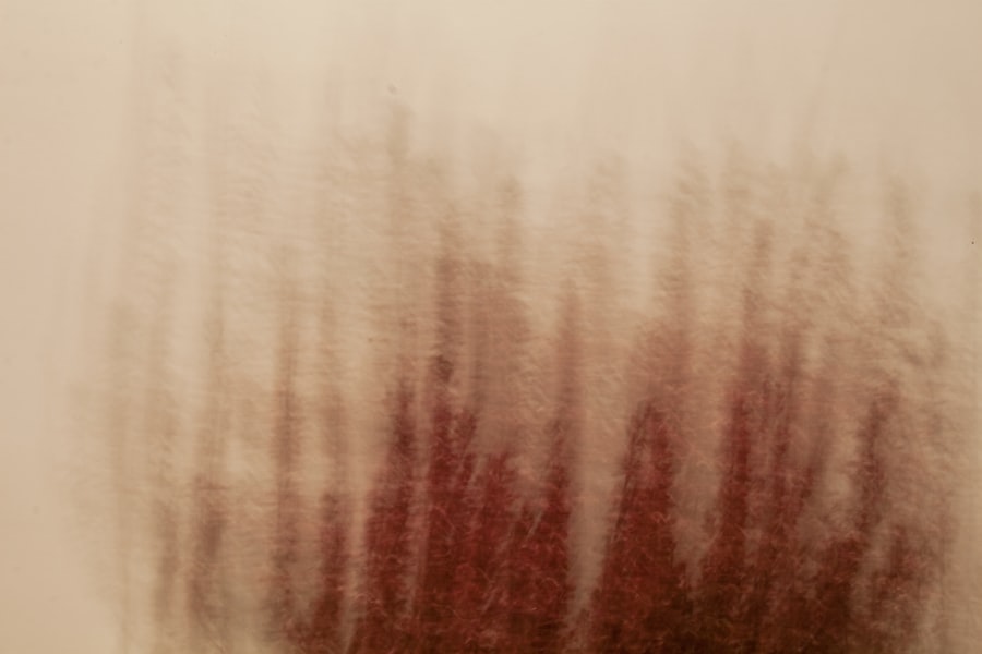 Photo Whois Privacy Protection