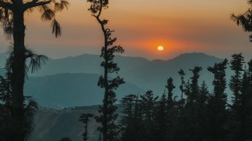 Photo Dedicated Servers