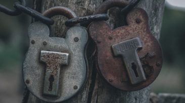 Photo Litespeed Cache Plugin