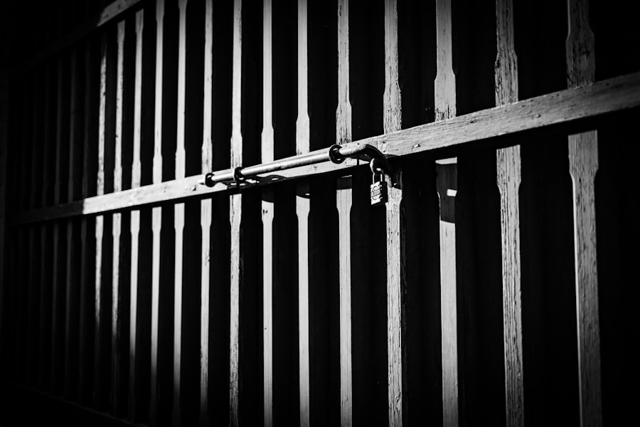 Photo Lock Your Domain