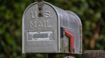 Photo Business Email and Domain Matching