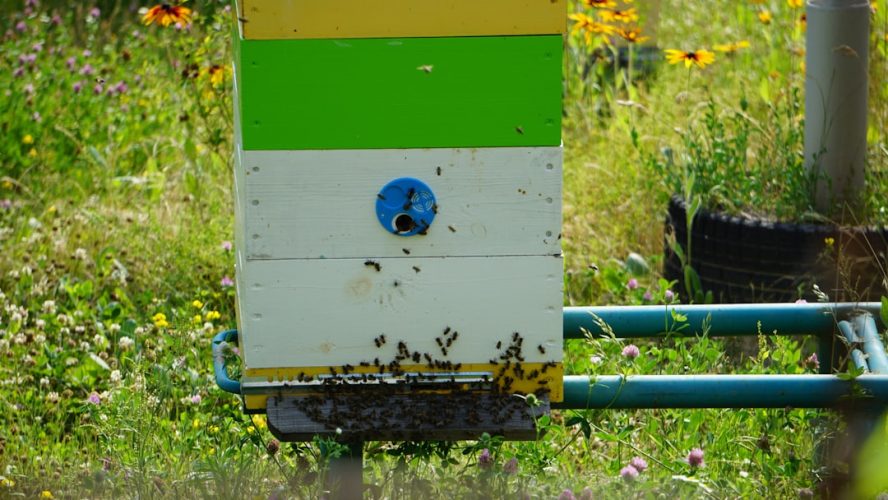 Photo API Driven Infrastructure
