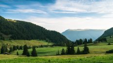 Photo Domain Registrar