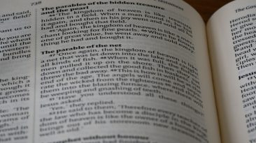 Photo WordPress Troubleshooting Guide