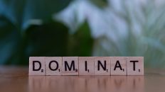 Photo Domain Portfolio Strategy