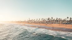 Photo Scale WordPress Websites