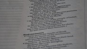 Photo Domain Transfer Checklist