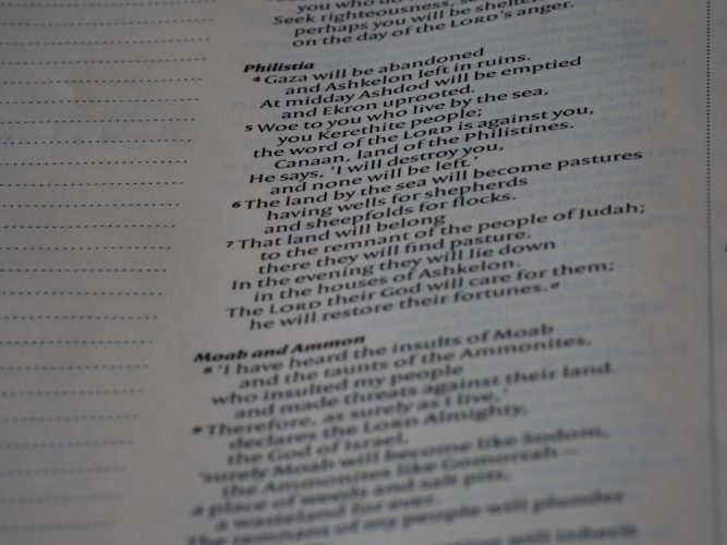 Photo Domain Transfer Checklist