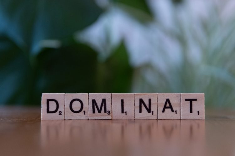 Photo Domain Name Trends