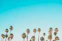 Photo Manage Business Domains