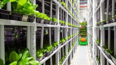 Photo Green Hosting Technology