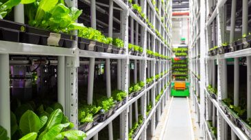 Photo Green Hosting Technology