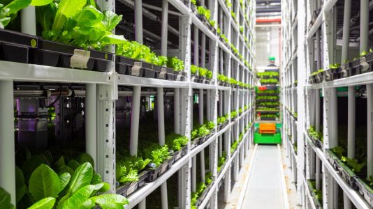 Photo Green Hosting Technology