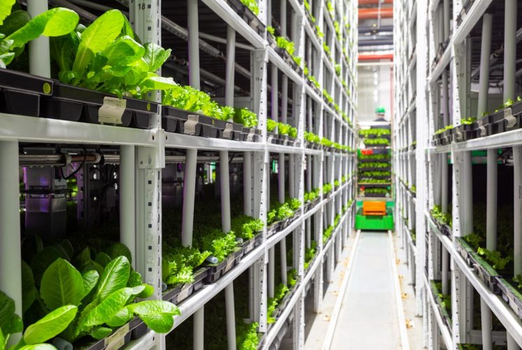 Photo Green Hosting Technology