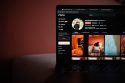 Photo Scale WordPress Websites