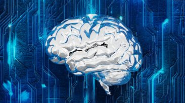Photo Machine Learning Applications
