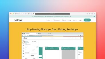 Photo Startup, Hosting