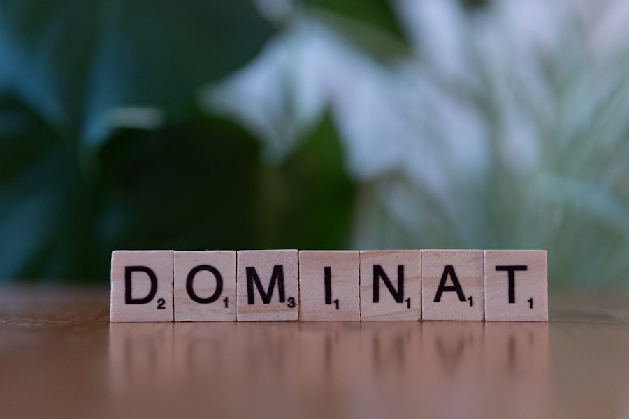 Domain Asset Strategy