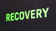 Photo Domain Expiration Recovery Process