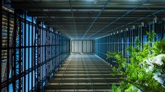 Photo WordPress Hosting Architecture