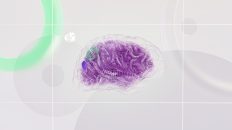 Photo Artificial Intelligence