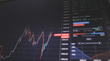 Photo Domain Asset Strategy