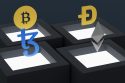 Photo Domain Transfers