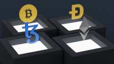 Photo Domain Transfers