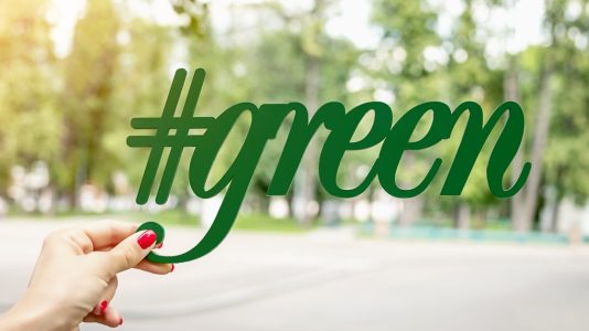 Photo Green Hosting Trends