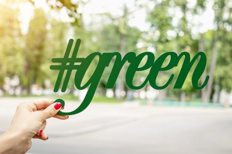 Photo Green Hosting Trends