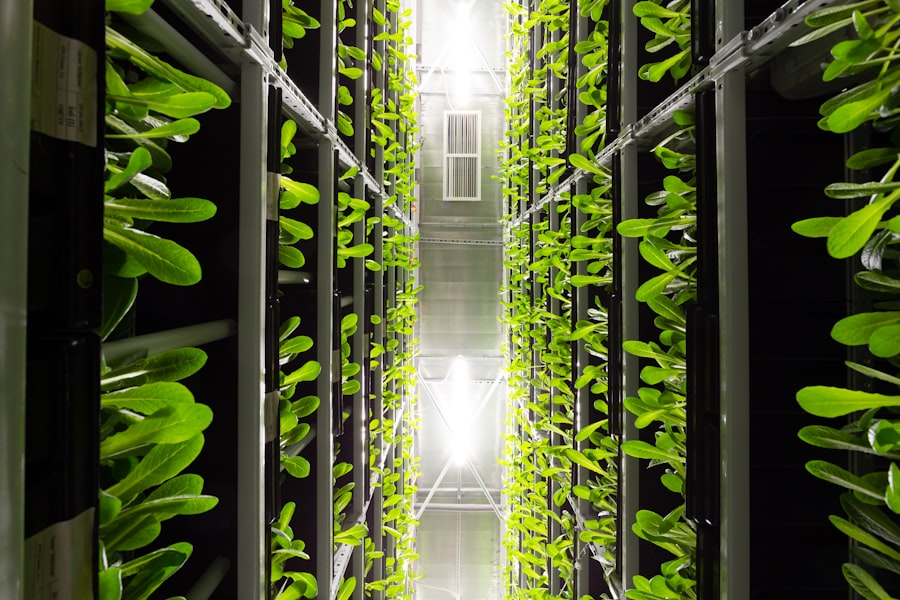 Photo Green Hosting Trends