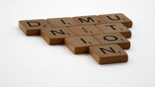 Photo Domain Age