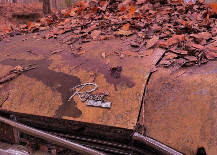 Photo Auto Renewal