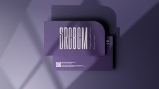 Photo Subdomain vs Addon Domain