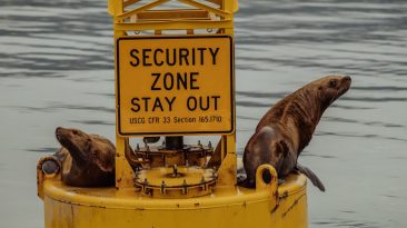 Photo DDoS Protection