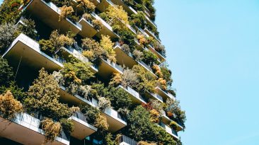 Photo Sustainable Hosting