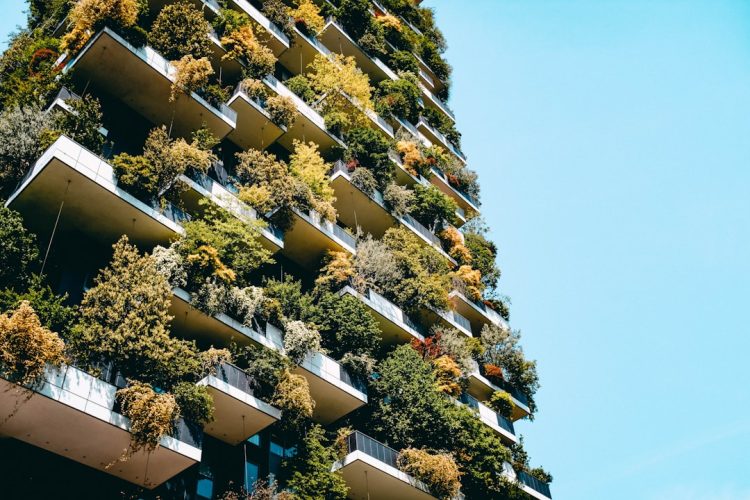 Photo Sustainable Hosting