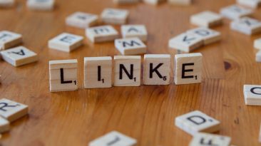 Photo Connect Domain with Web Hosting