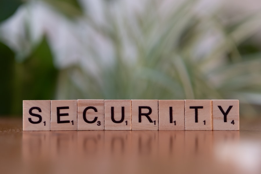 Photo Domain Security Tips