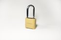 Photo Domain Locking